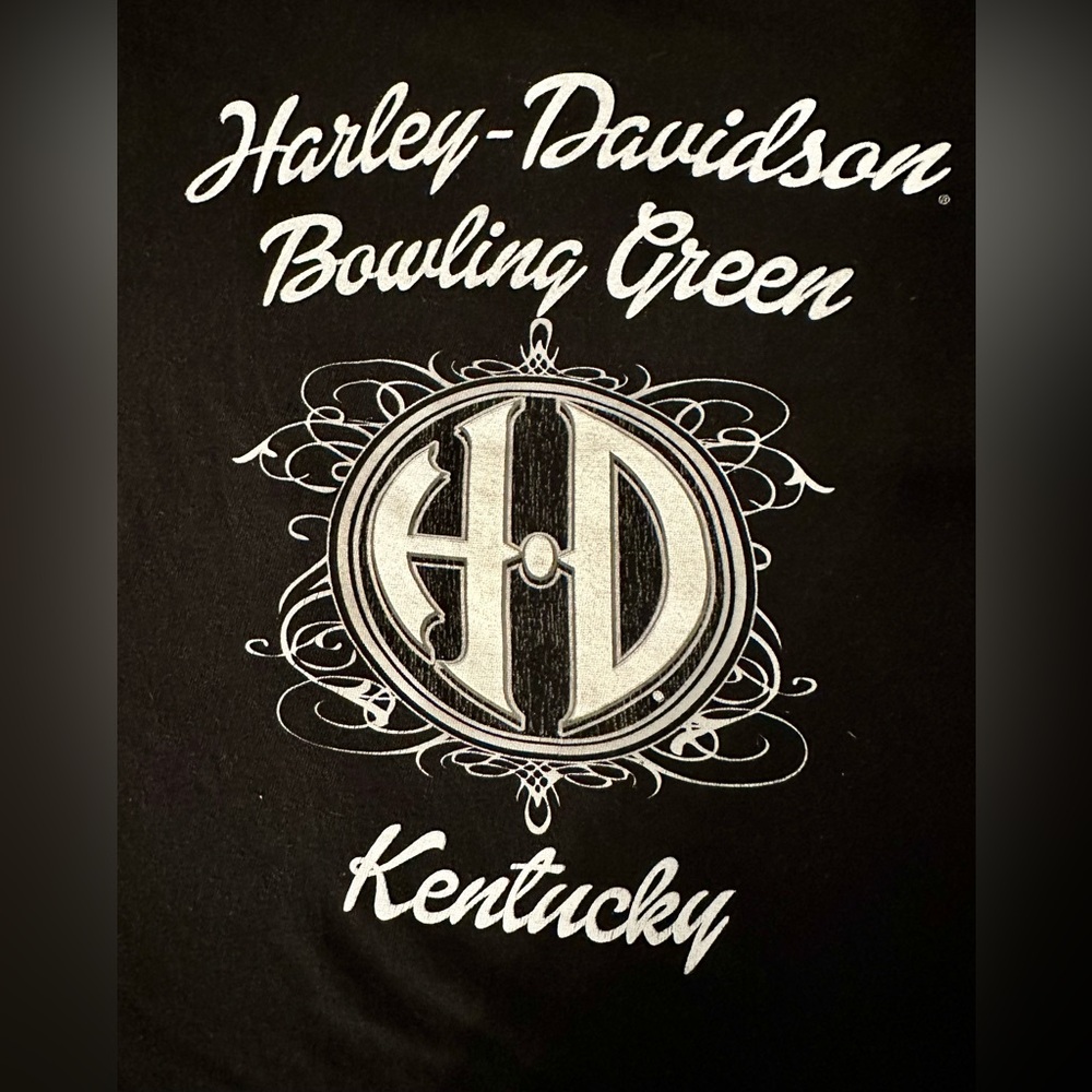 HARLEY DAVIDSON BRIGHT BLUE & BLACK V-NECK T-SHIRT - Medium - Picture 8 of 11